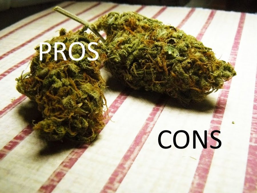 Marijuana%3A+For+Underage+Users+The+Cons+Outweigh+The+Pros