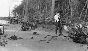 One of the Colonial Parkway crime scenes.
