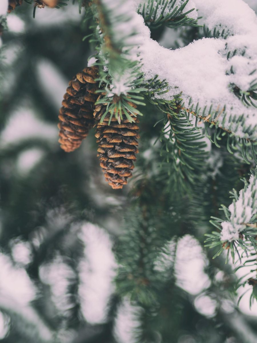 Most holidays that you don’t celebrate go unnoticed. | Aaron Burden, UnSplash